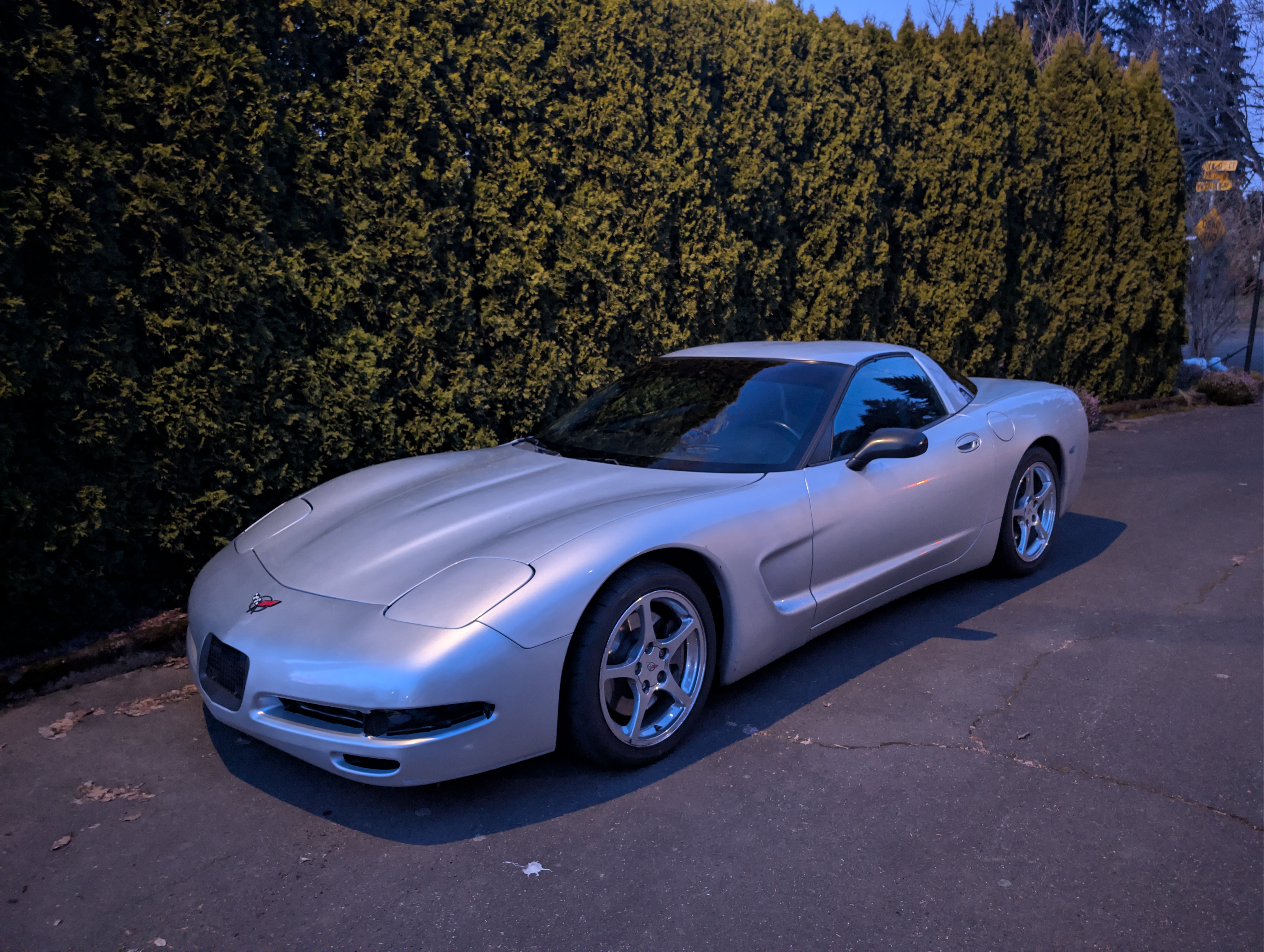 The Dead to Shred Corvette parked in front of hedges with it's windows aligned properly.