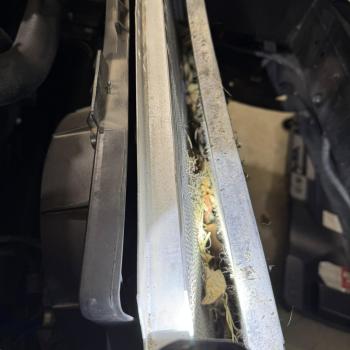 A C5 Corvette radiator stuff full of debris between it and the AC condenser.